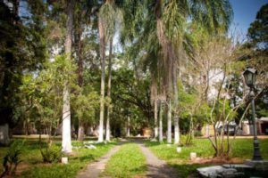 área externa e jardim da clínica de recuperação para dependentes químicos em campinas sp